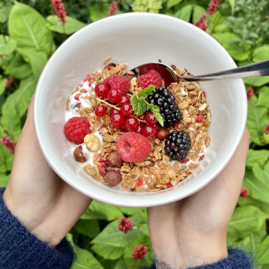 Granola Berry Madness